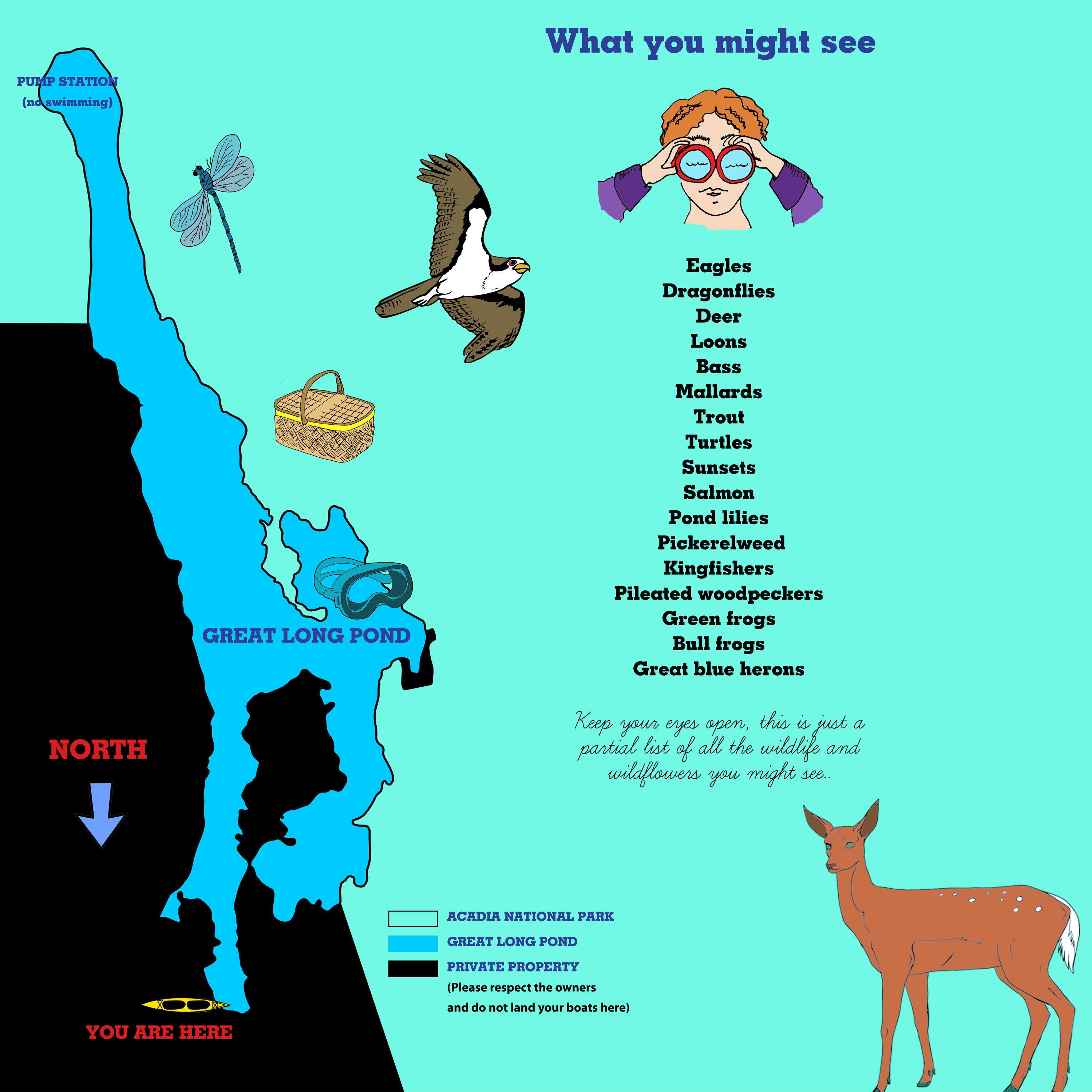 map of great long pond in acadia national park showing private land versus acadia national park